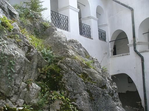Krásna hôrka